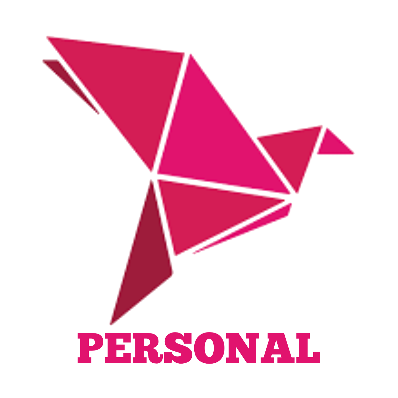payment logo